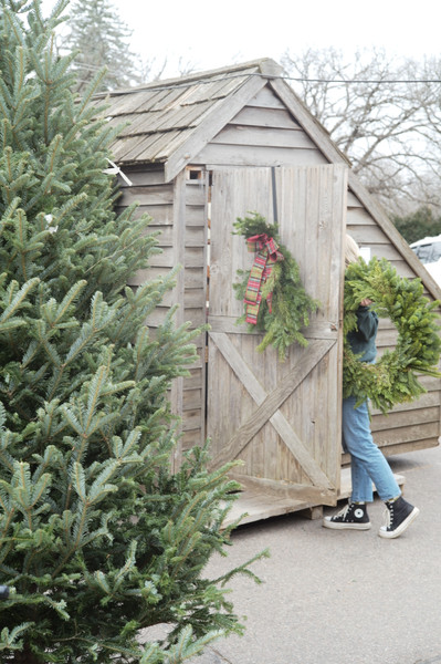 Custom Design, Christmas Tree Orders, and Delivery