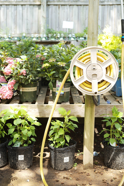 Gardening in the Shade with Perennials