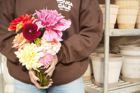 Dahlia Lifting and Dividing