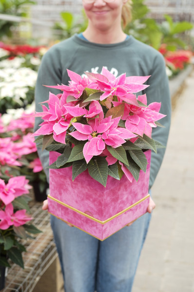 Tonkadale's Holiday Gift Guide