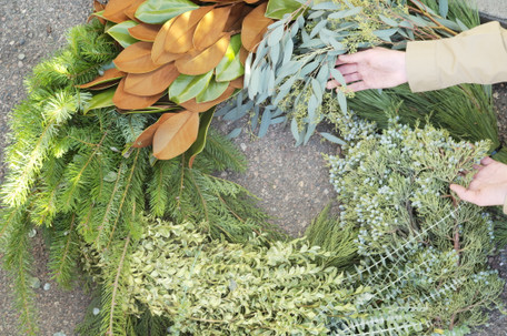 Spruce Tops & Winter Greens Care