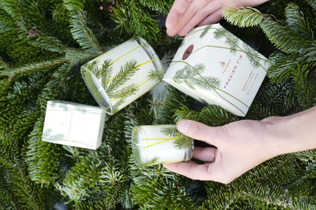 2025 Holiday Scents Collection