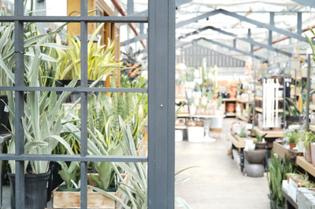 A 2022 Year in Review