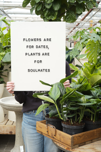Planty Dating Profiles: Find Your Match