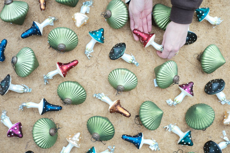 2025, A Year in Photos