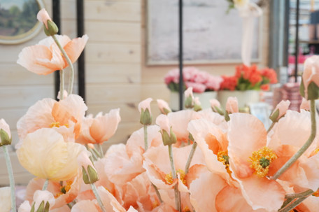 Seeds for Every Gardener