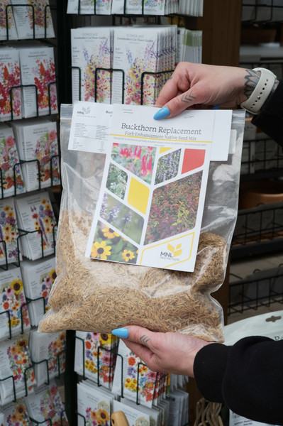 Native Plant Seed Mixes