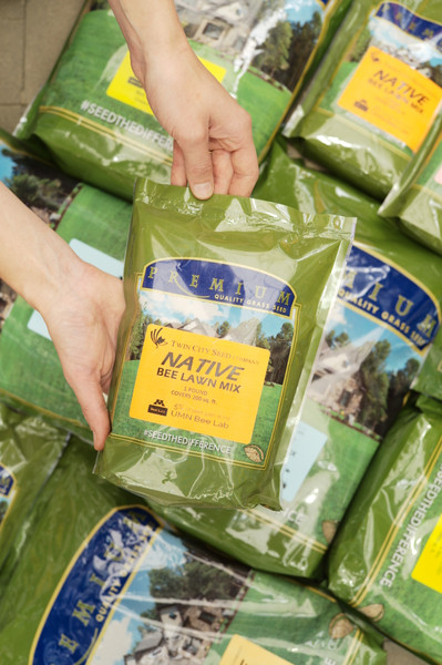 Sustainable Options for Lawnscapes