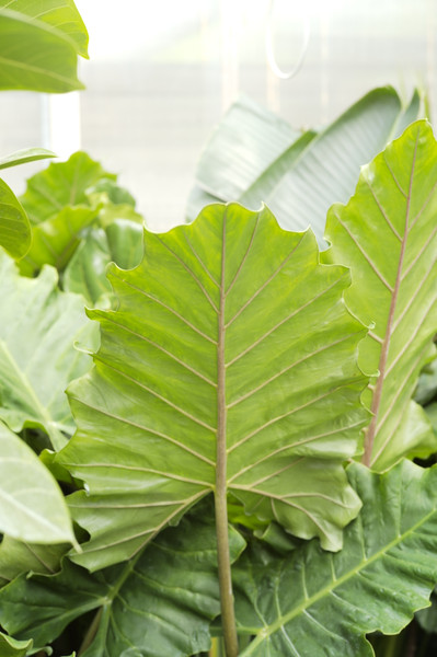 Educational Resources Available at Tonkadale