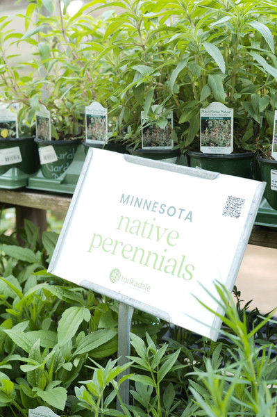 An Indoor Plant Soils and Amendments Primer