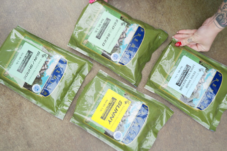 Sustainable Options for Lawnscapes