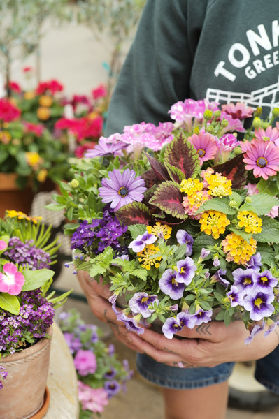 Springtime Custom Design at Tonkadale