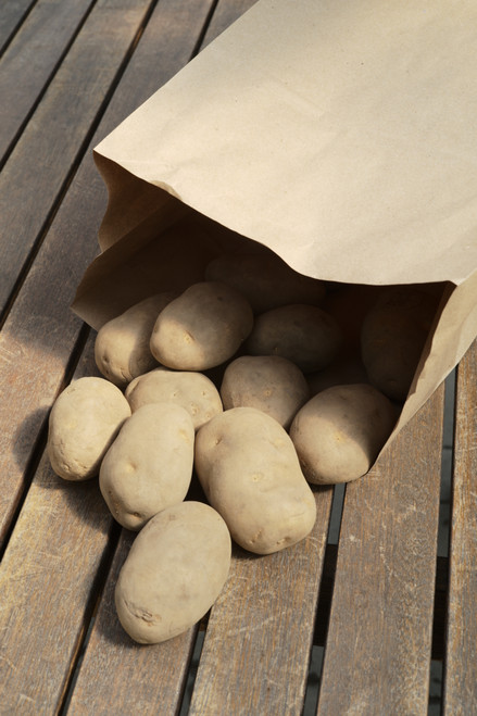 2lb Seed Potato - Russet Burbank