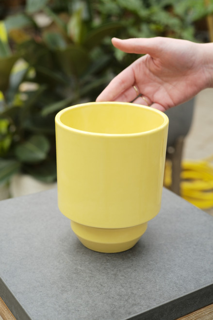 5.5" Bergs Hoff Glazed Pot in Yellow