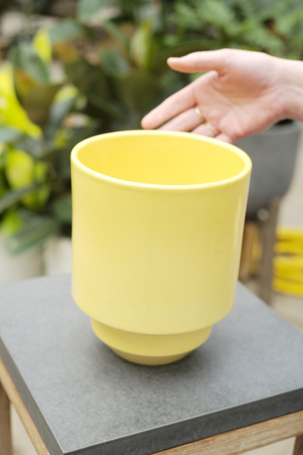 7.1" Bergs Hoff Glazed Pot in Yellow