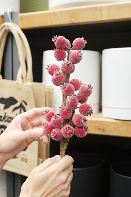 21" Iced Pod Spray in Red (Faux)