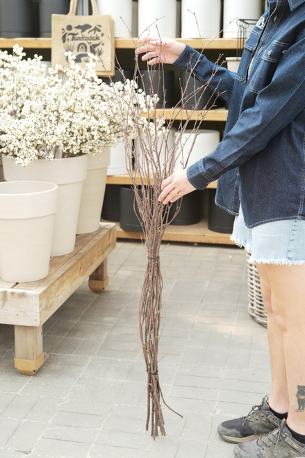 36-42" Birch Branch Bundle