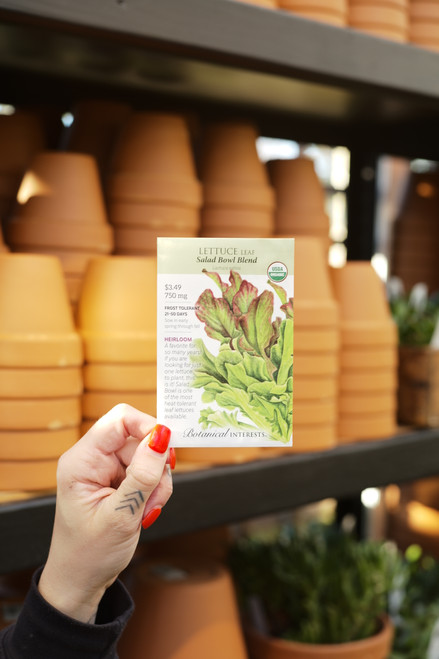 Organic Lettuce Salad Bowl Blend