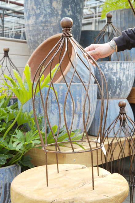 27" Sky Topiary in Clear Coat