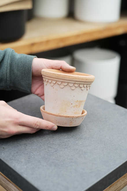 3.9" Bergs Kobenhavner Pot w/Saucer in Rose