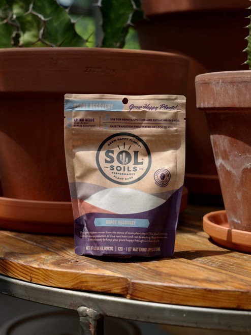 Sol Soils Repot Recovery