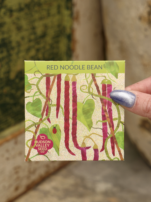 Hudson Valley Red Noodle Bean Seeds