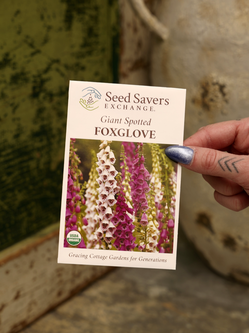 Organie Giant Spotted Foxglove