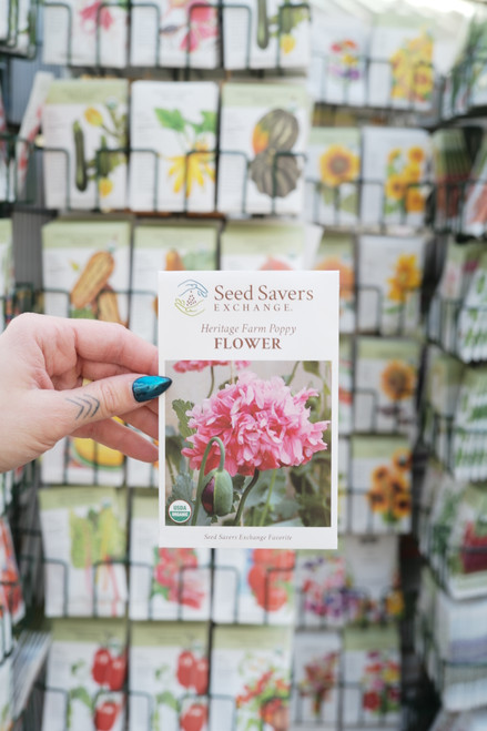 Organic Heritage Farm Poppy