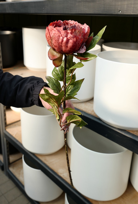 22" Real Touch Peony Stem in Burgundy (Faux)