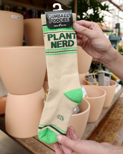 Plant Nerd Socks