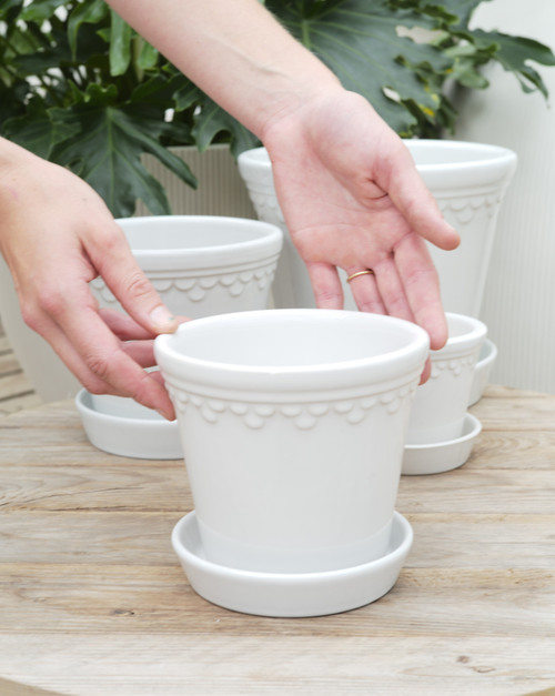 5.5" Bergs Kobenhavner Pot w/Saucer in Glazed White