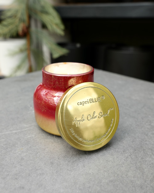 8oz Petite Apple Cider Social Candle