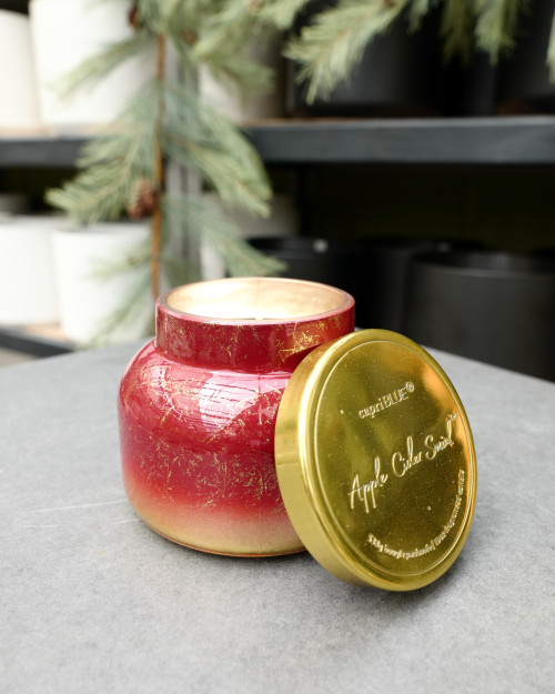 19oz Apple Cider Social Candle