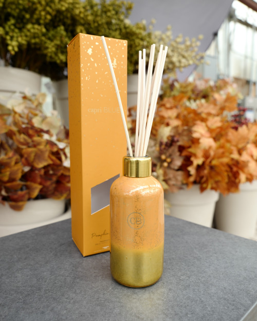 Pumpkin Dulce Diffuser
