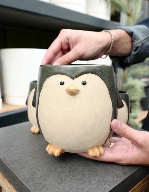 6" Penguin Planter