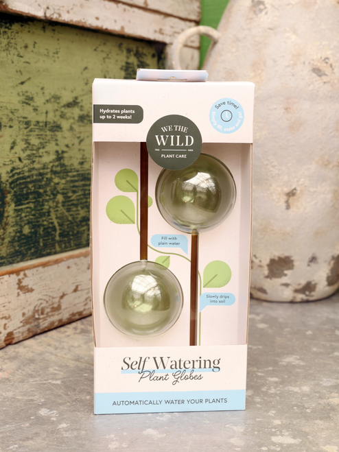 We The Wild Self-Watering Globe, Set of 2