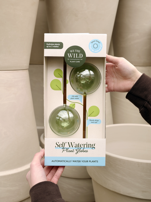 We The Wild Self-Watering Globe, Set of 2