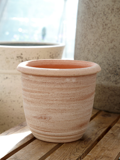 12" Terracotta Vaso Enzo Pot
