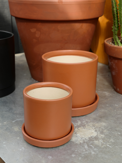 4.75" Cylinder Pot w/Saucer in Papaya