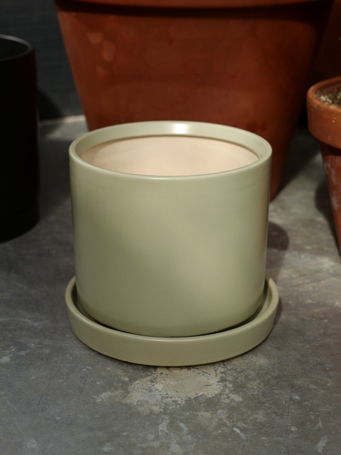 7" Cylinder Pot w/Saucer in Sage