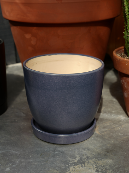 7.5" Egg Pot w/Saucer in Blue