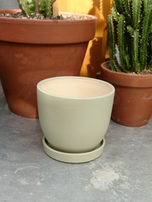 7.5" Egg Pot w/Saucer in Sage