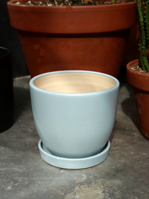 7.5" Egg Pot w/Saucer in Light Blue