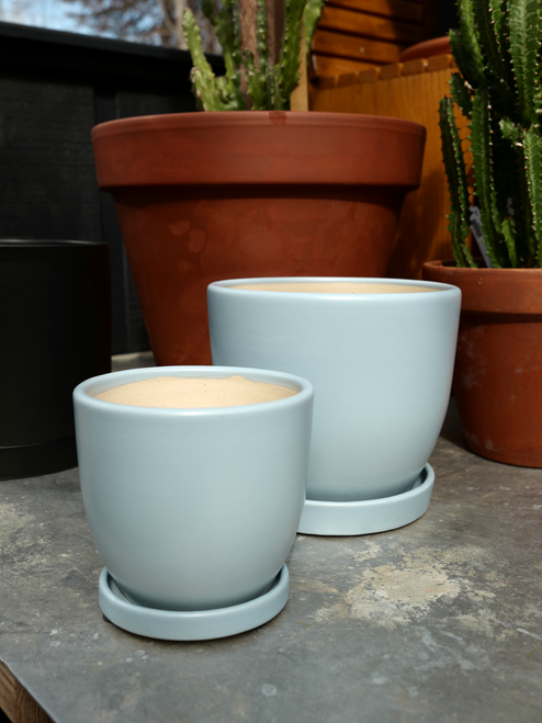 7.5" Egg Pot w/Saucer in Light Blue