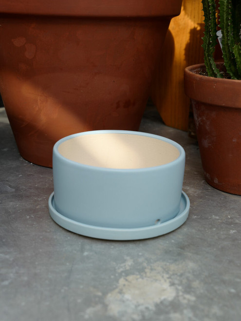 7" Dish Garden w/Saucer in Light Blue