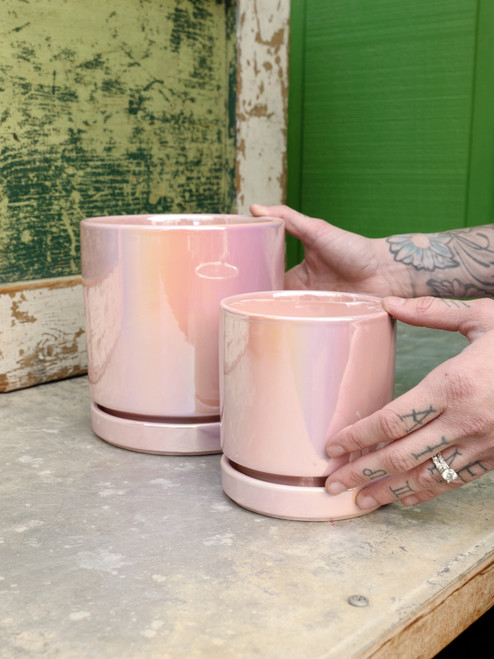 4.5" Iridescent Pot w/Saucer in Pink