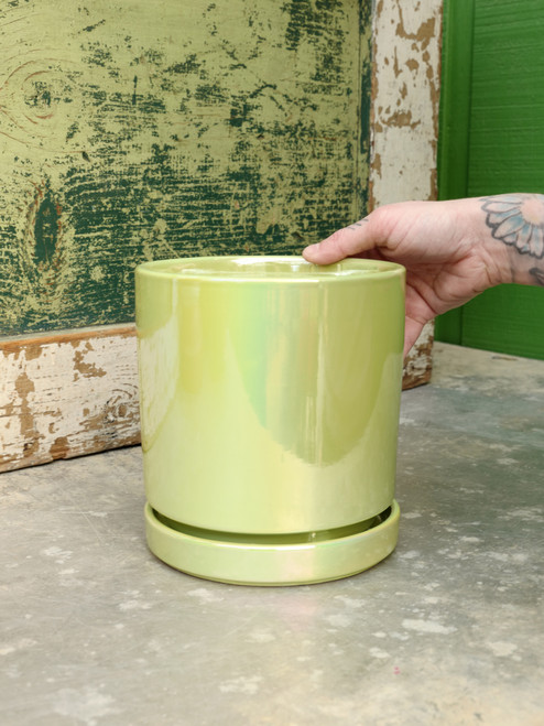 6.5" Iridescent Pot w/Saucer in Green