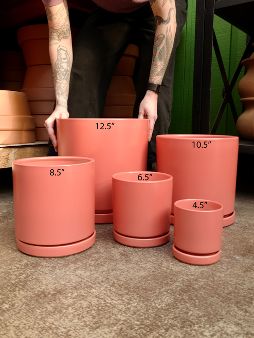 4.5" Citrus Pot w/Saucer in Grapefruit