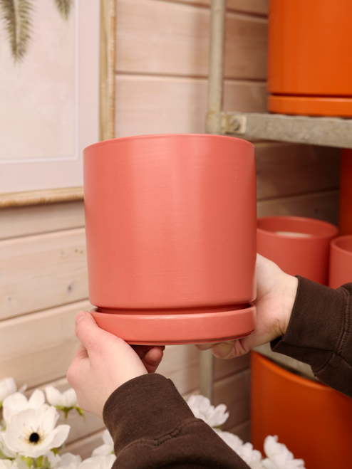 6.5" Citrus Pot w/Saucer in Grapefruit