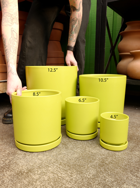 6.5" Citrus Pot w/Saucer in Lime